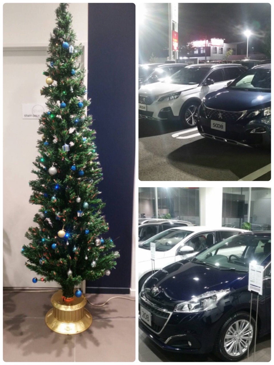 【クリスマスツリー！】