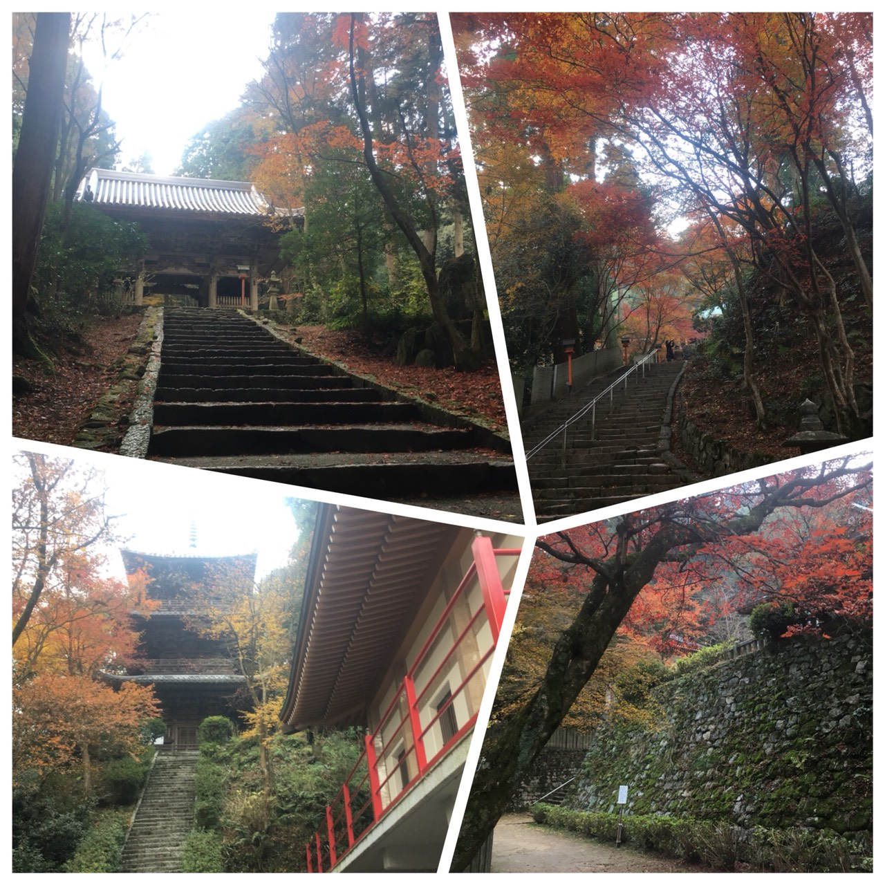 ◯◯狩り