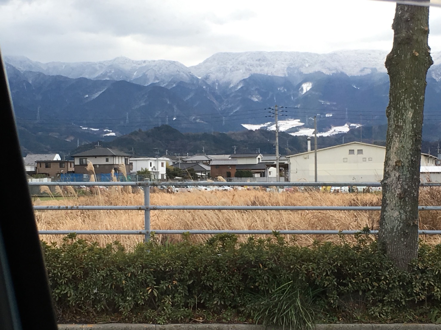 寒い。。。