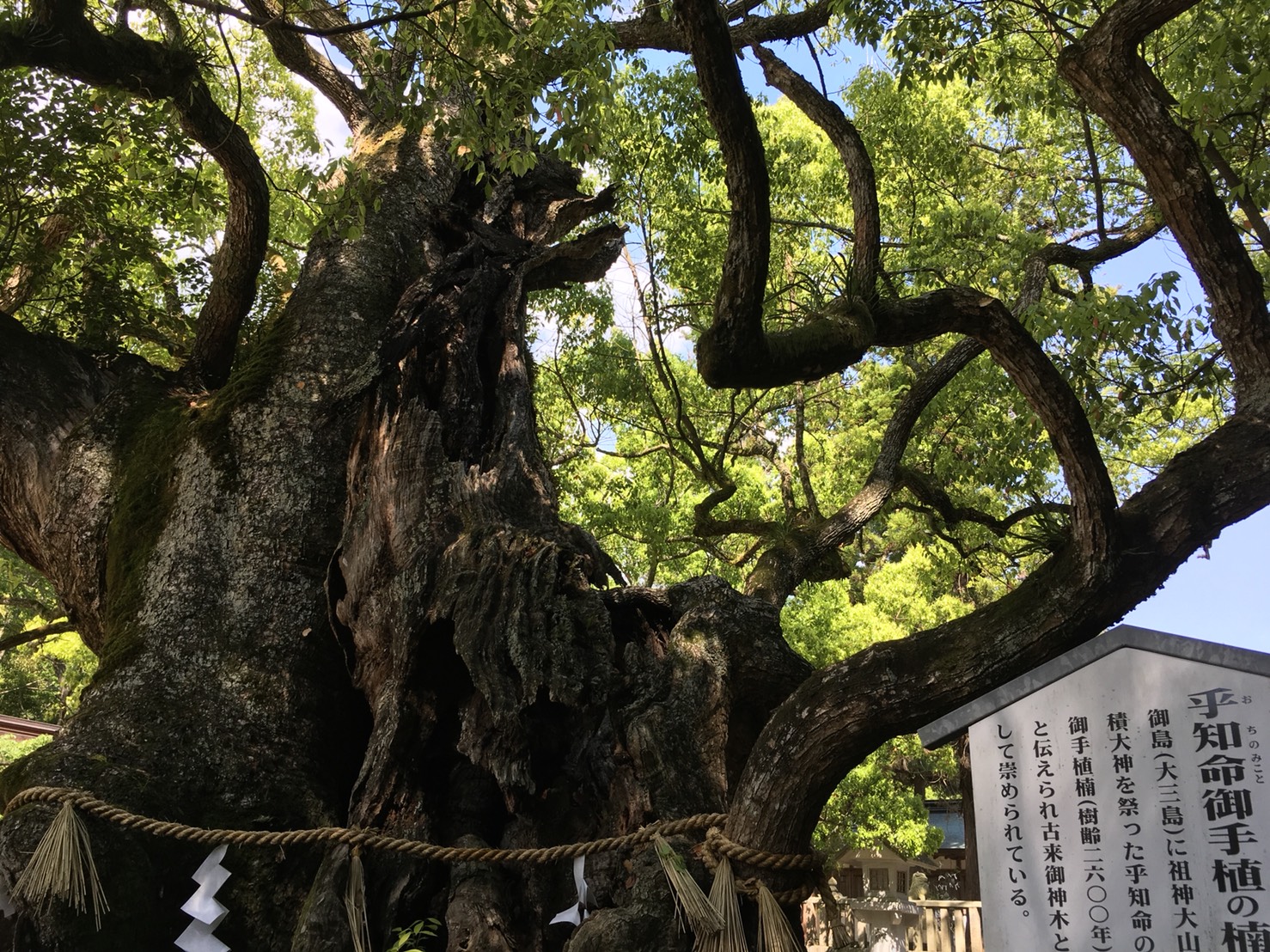 連休