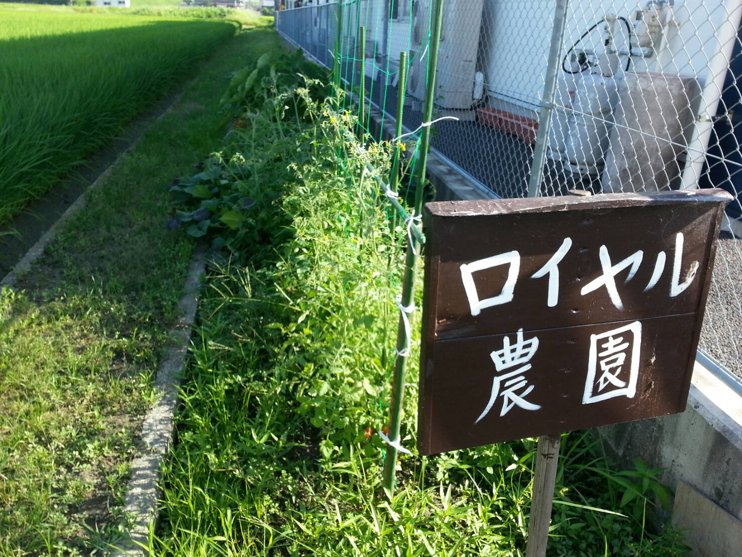 今日から8月です！