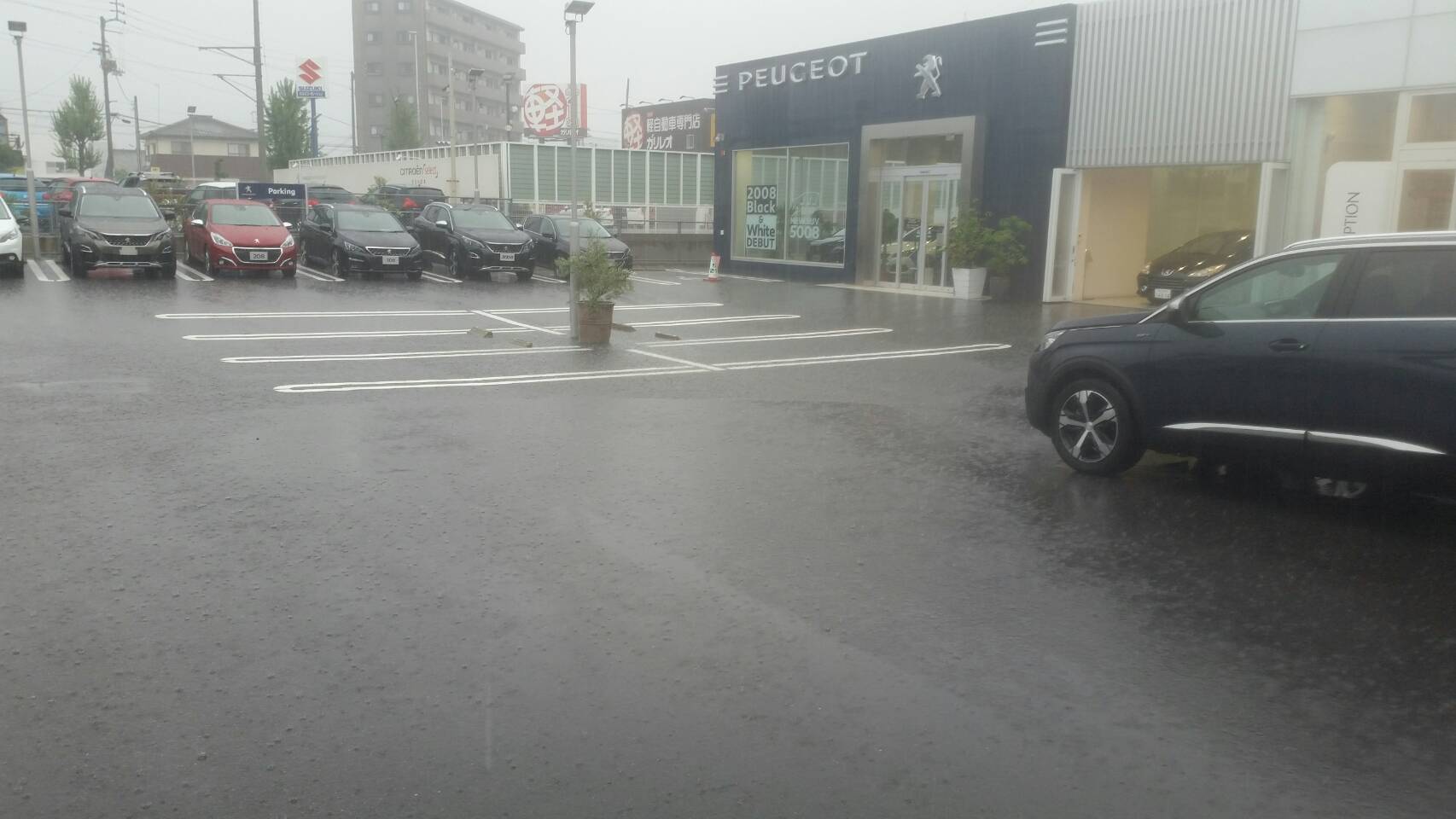 大雨
