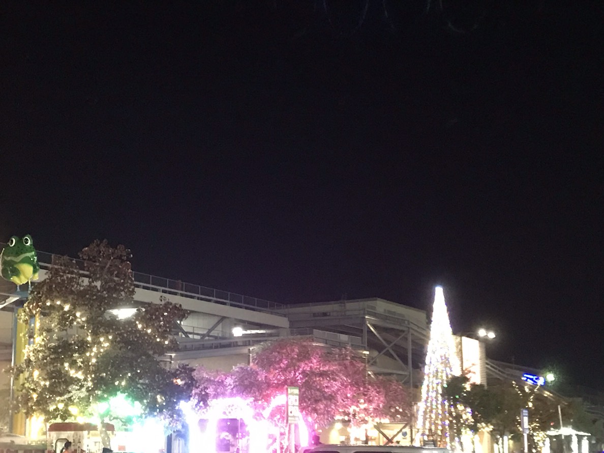 イルミネーション