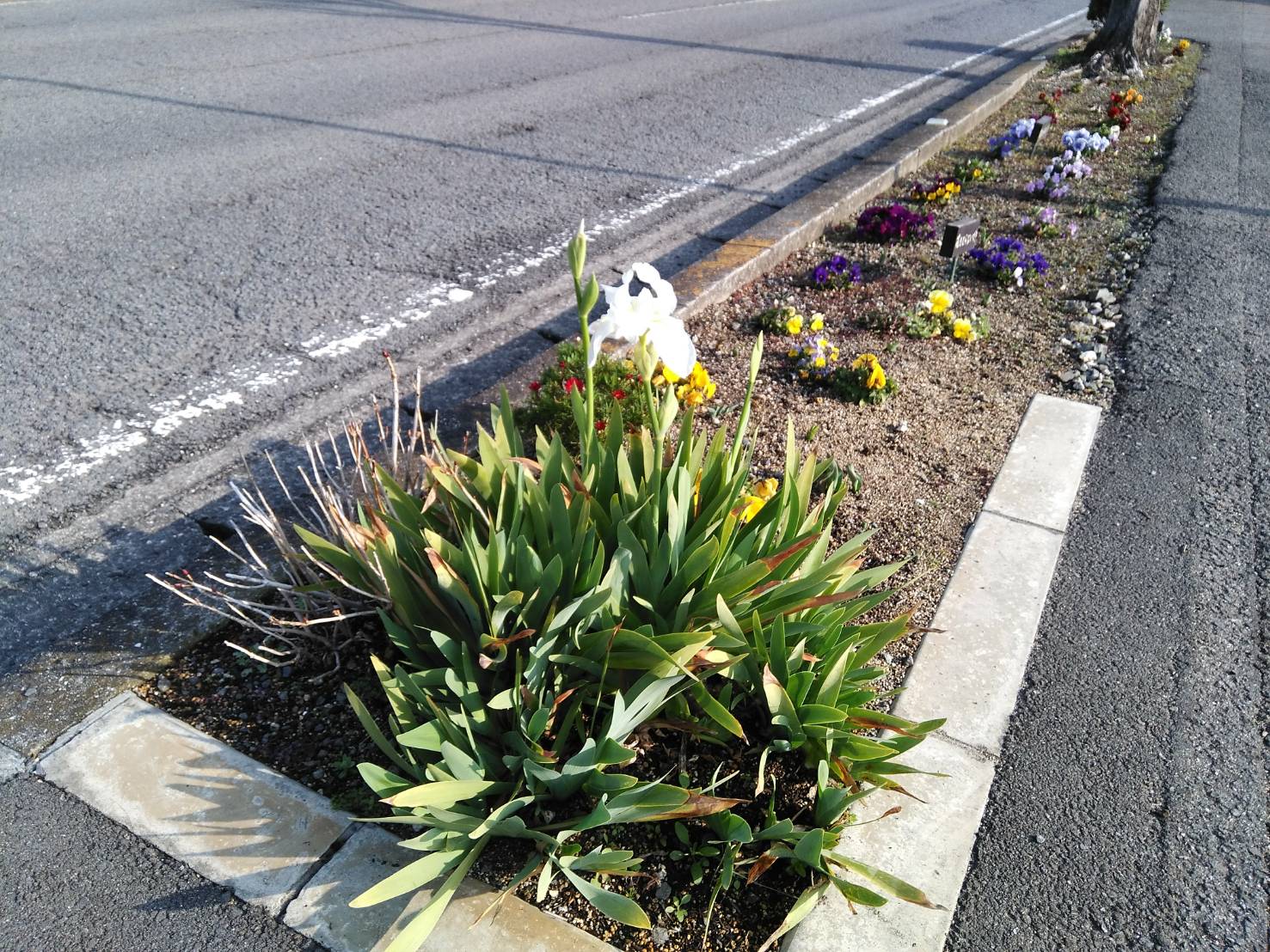今日から３月です。