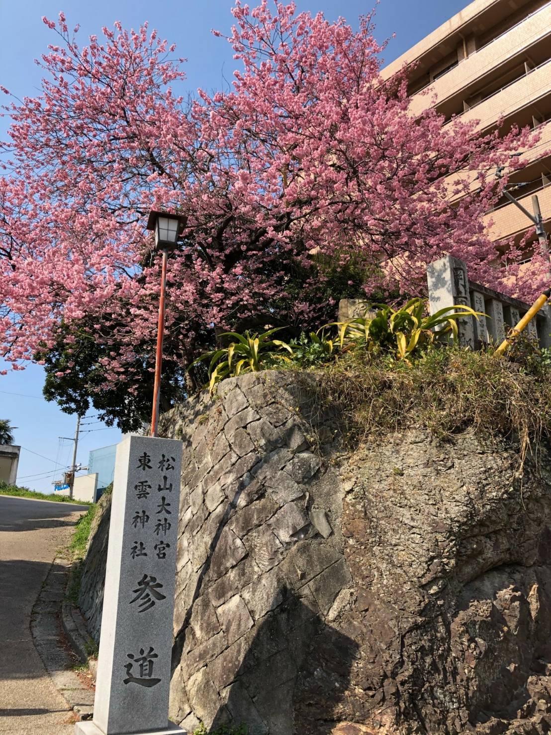 今日から３月です。