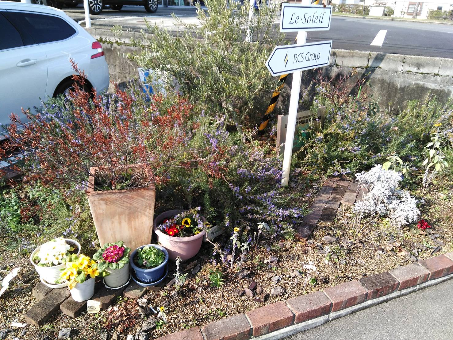 今日から３月です。