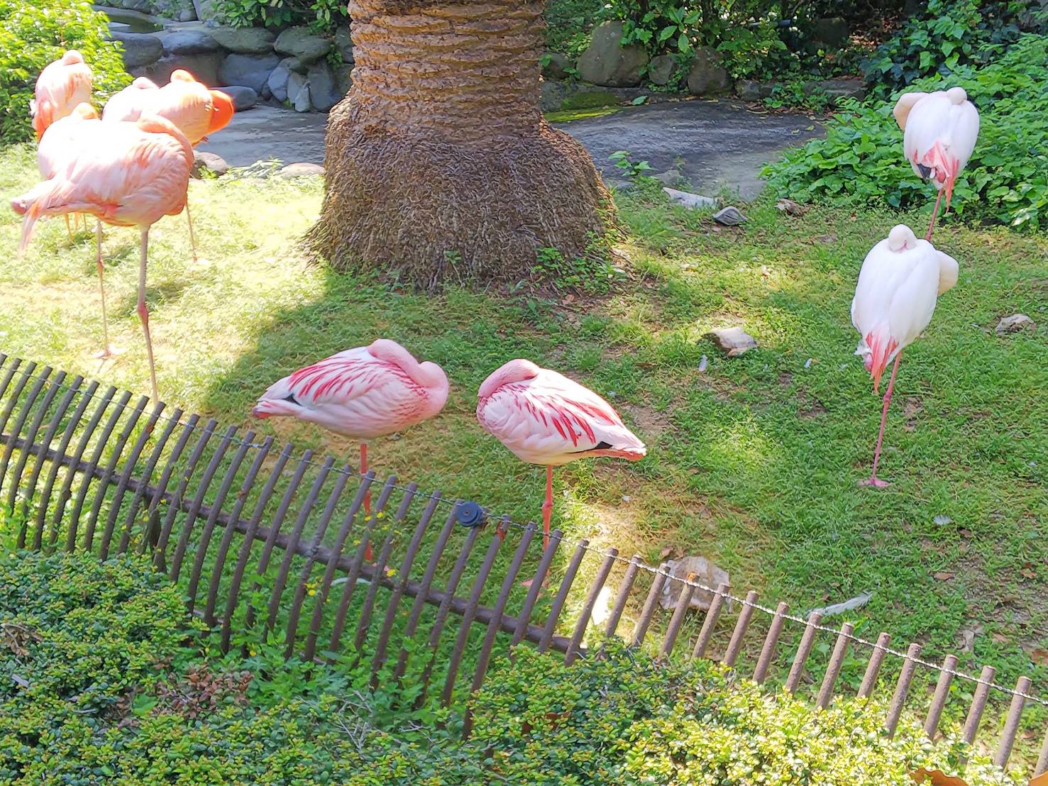 動物園