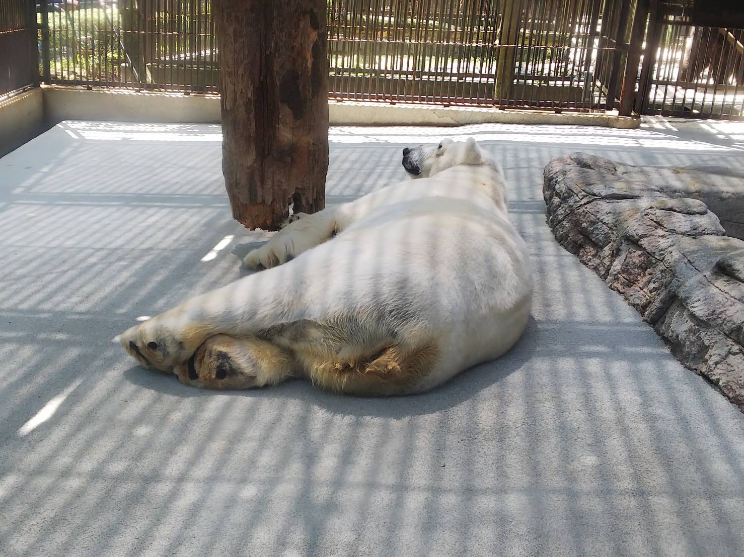 動物園