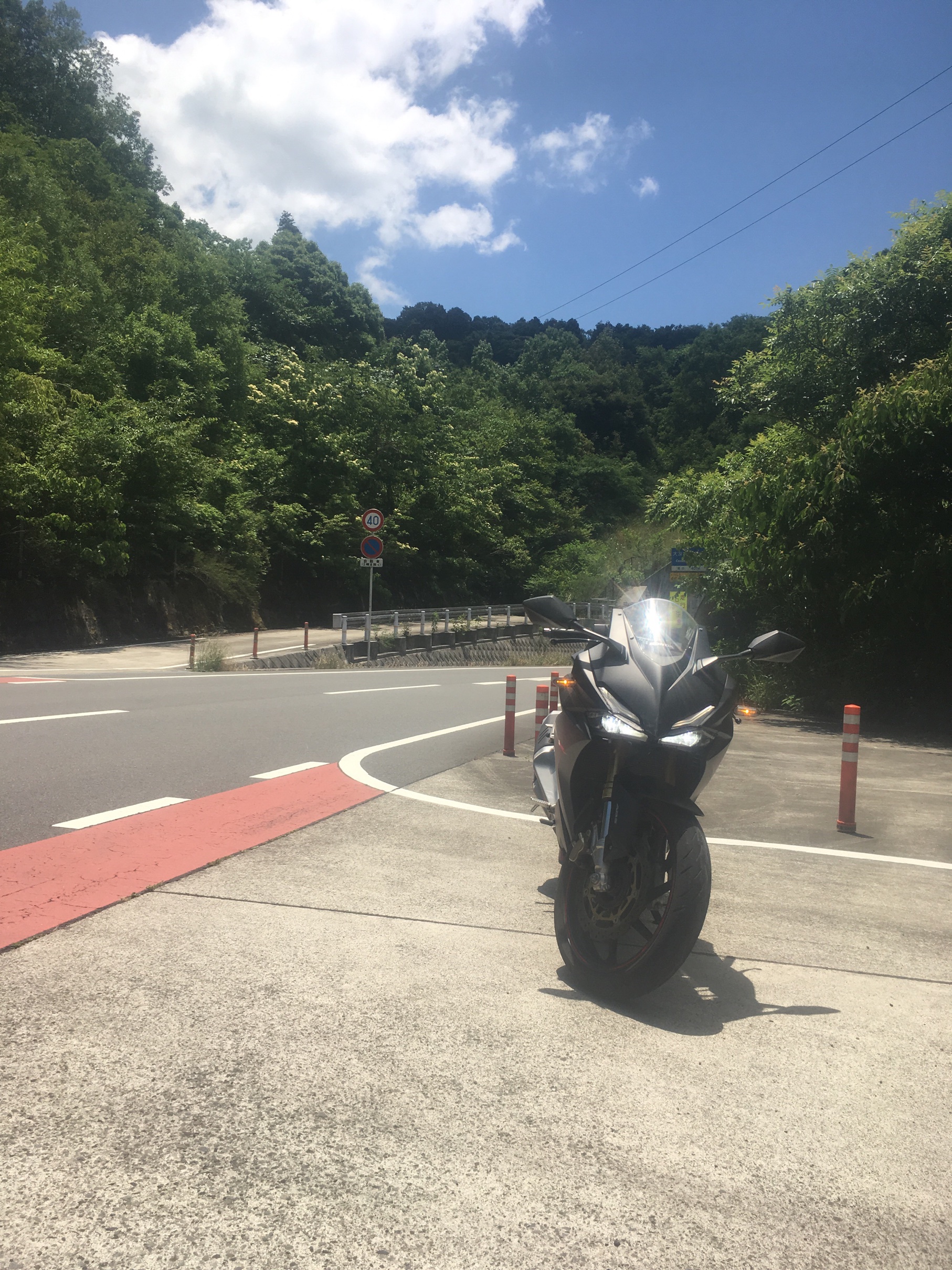 ん～？なになに？