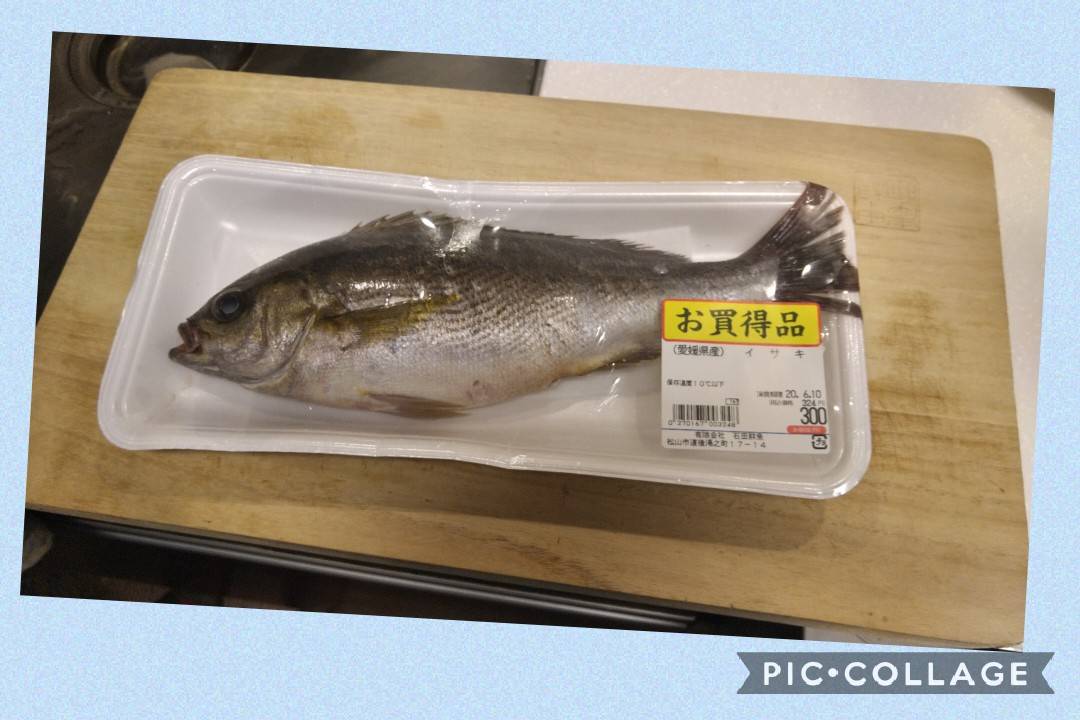 魚をさばく