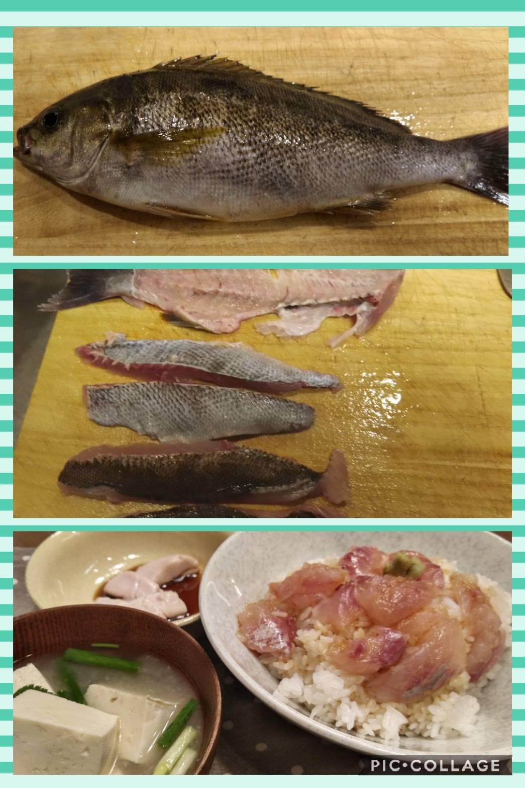 魚をさばく