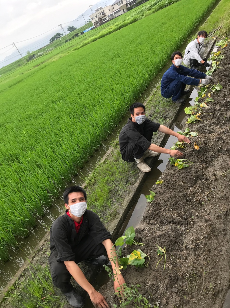  ７月も後半に差し掛かりました