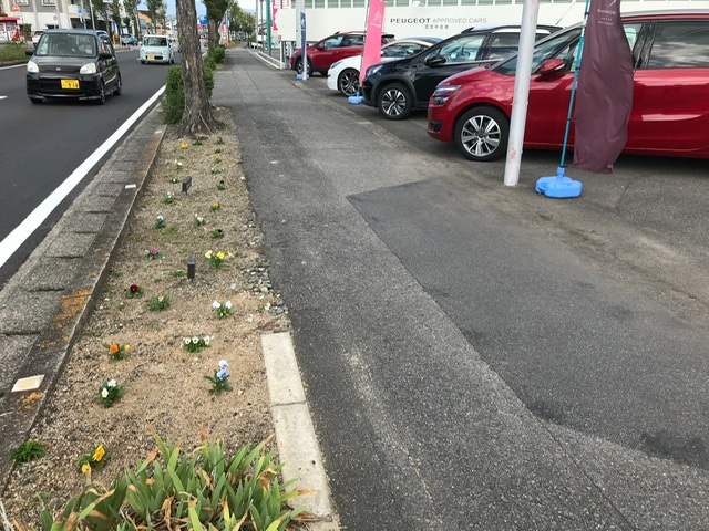 １０月も後半に差し掛かりました