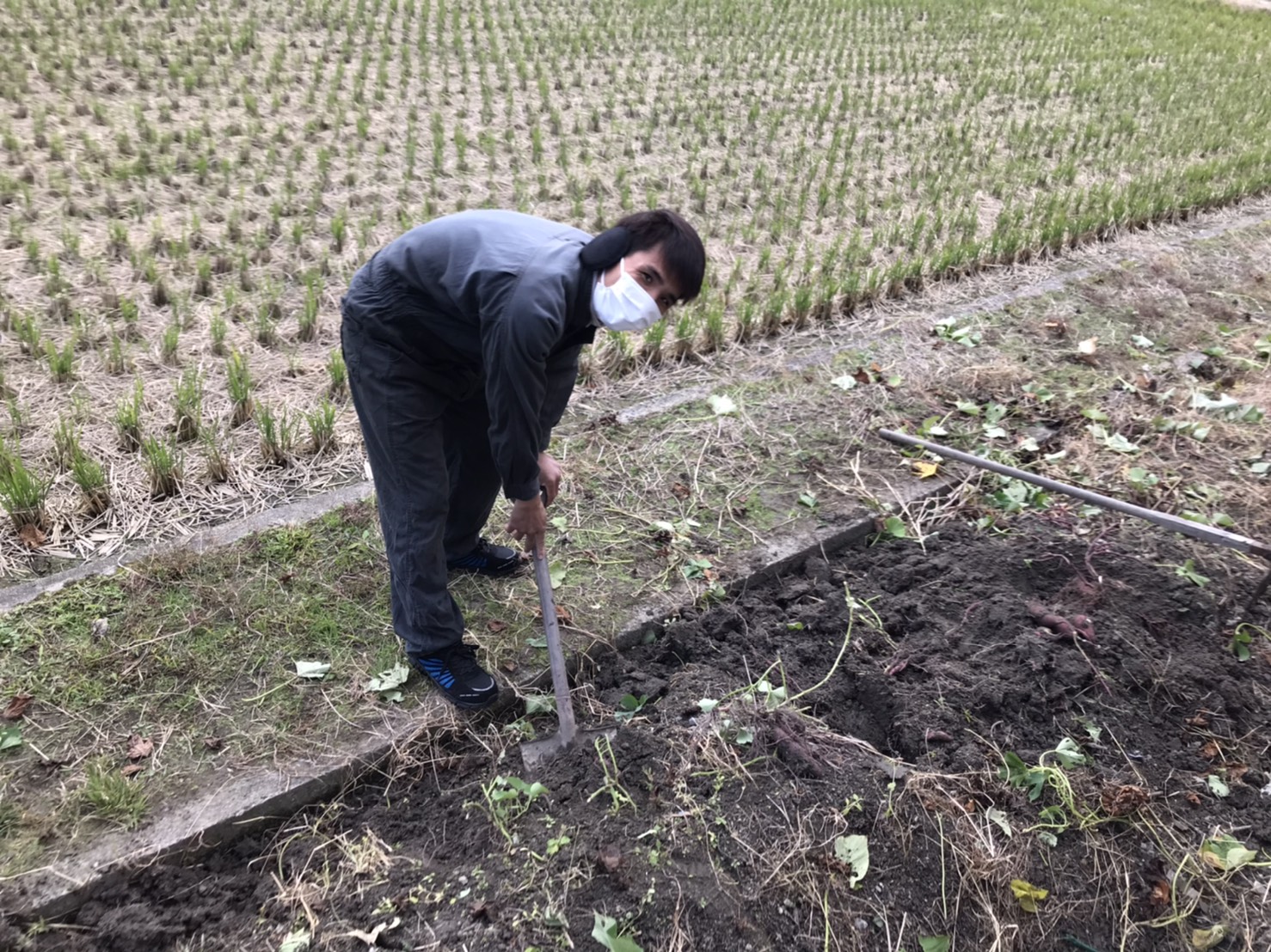 今日から１２月です