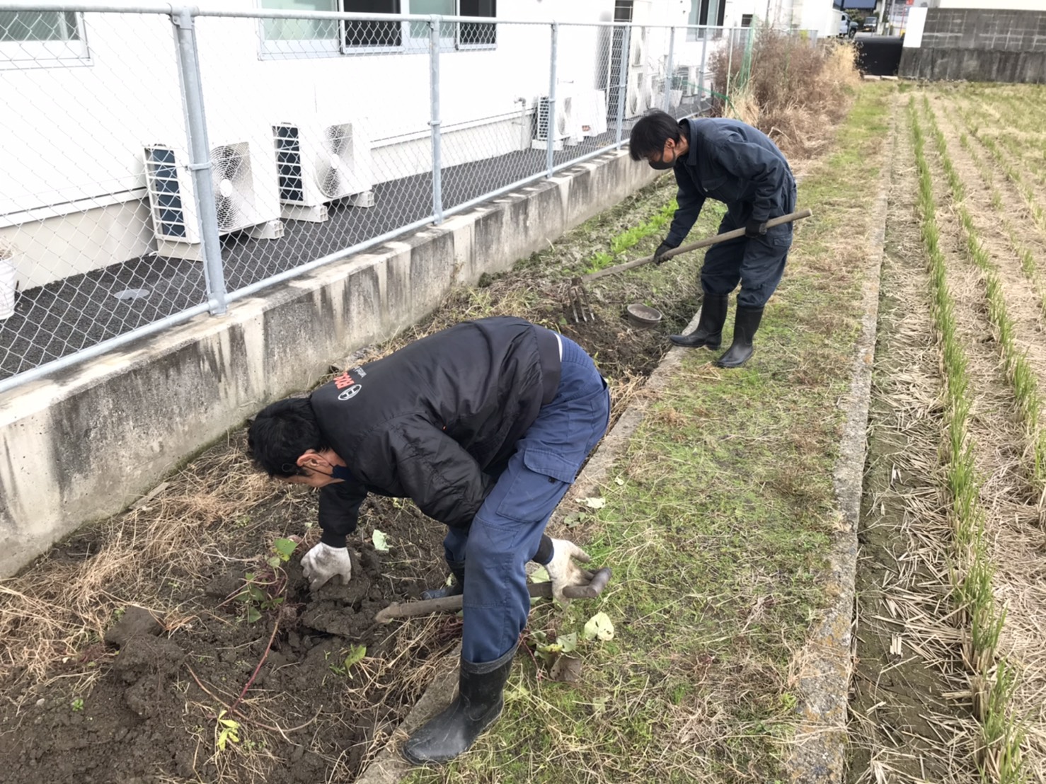 今日から１２月です