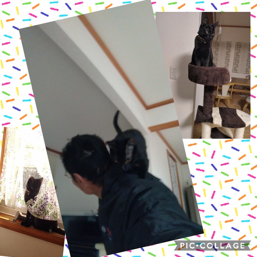 夢を見た話