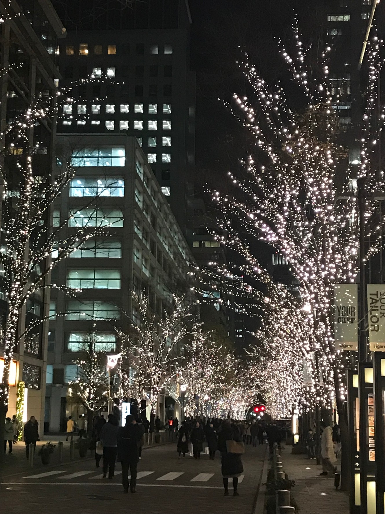 今年こそ