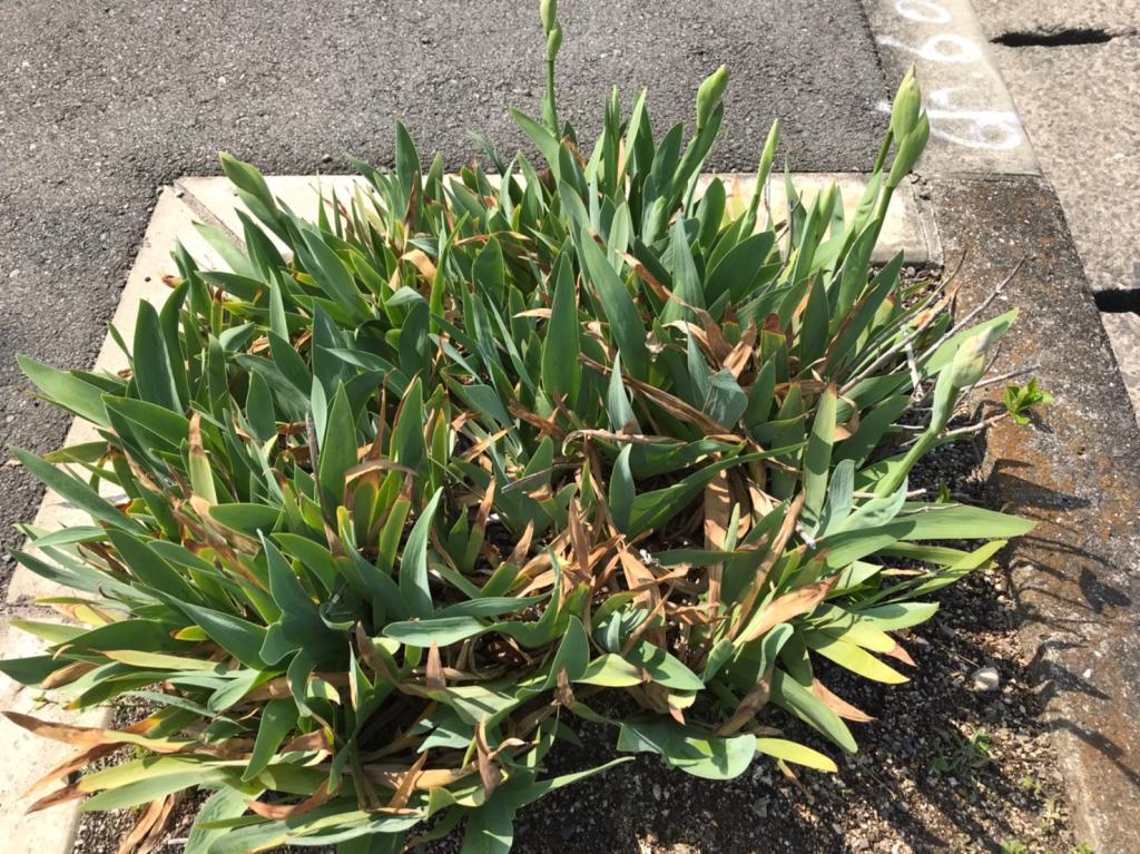 3月も後半に差し掛かりました