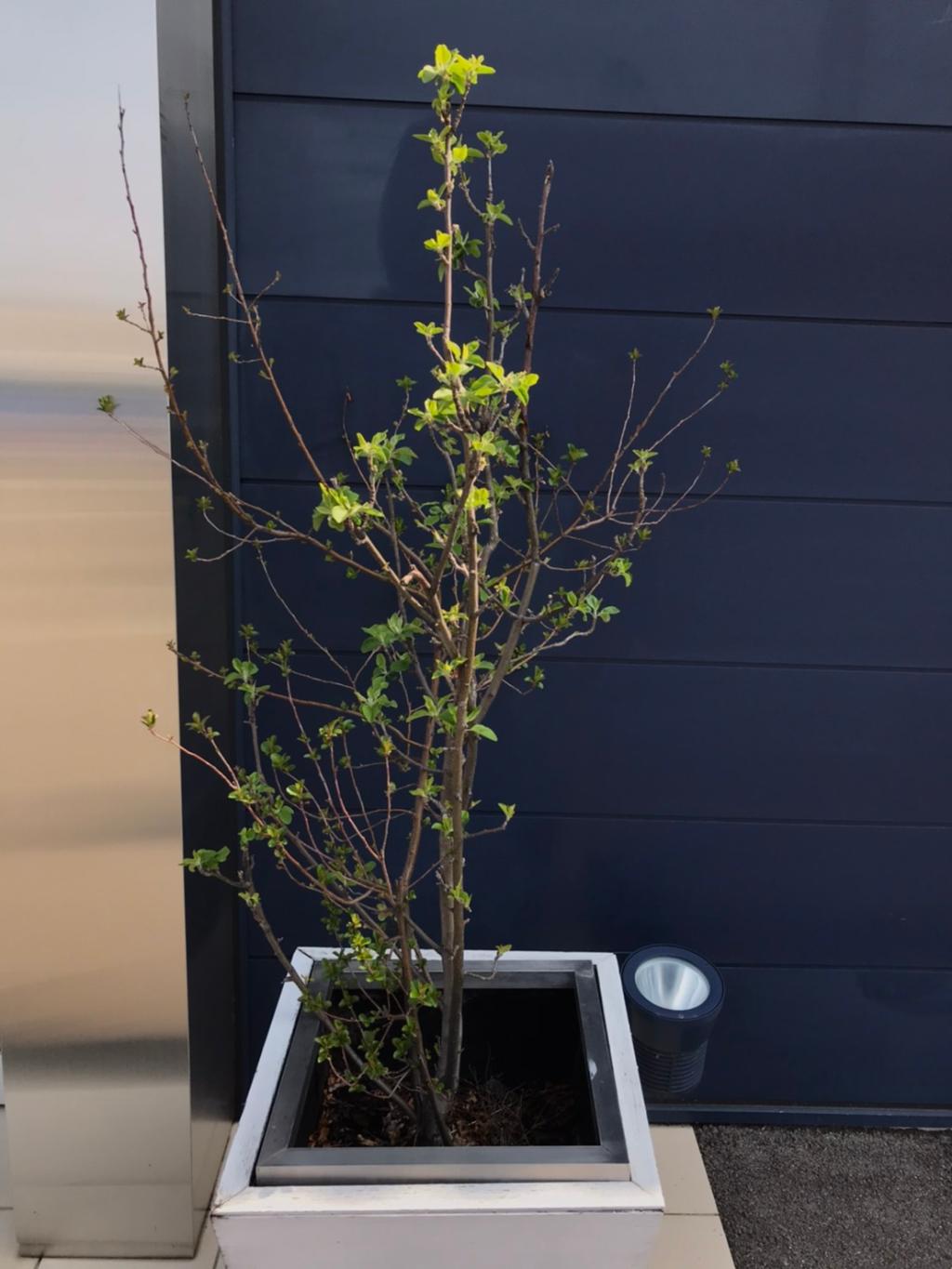 3月も後半に差し掛かりました