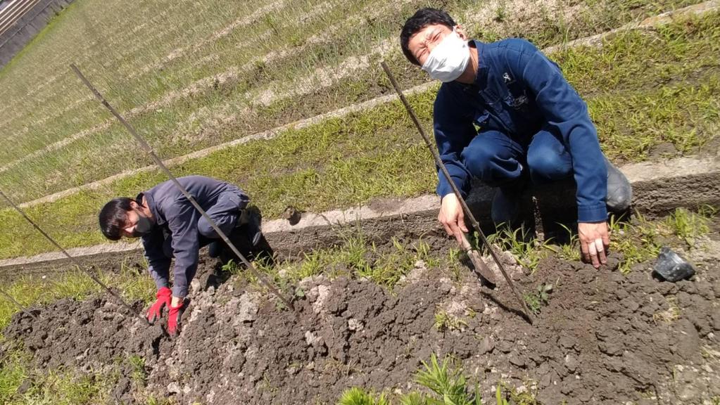 今日から6月です