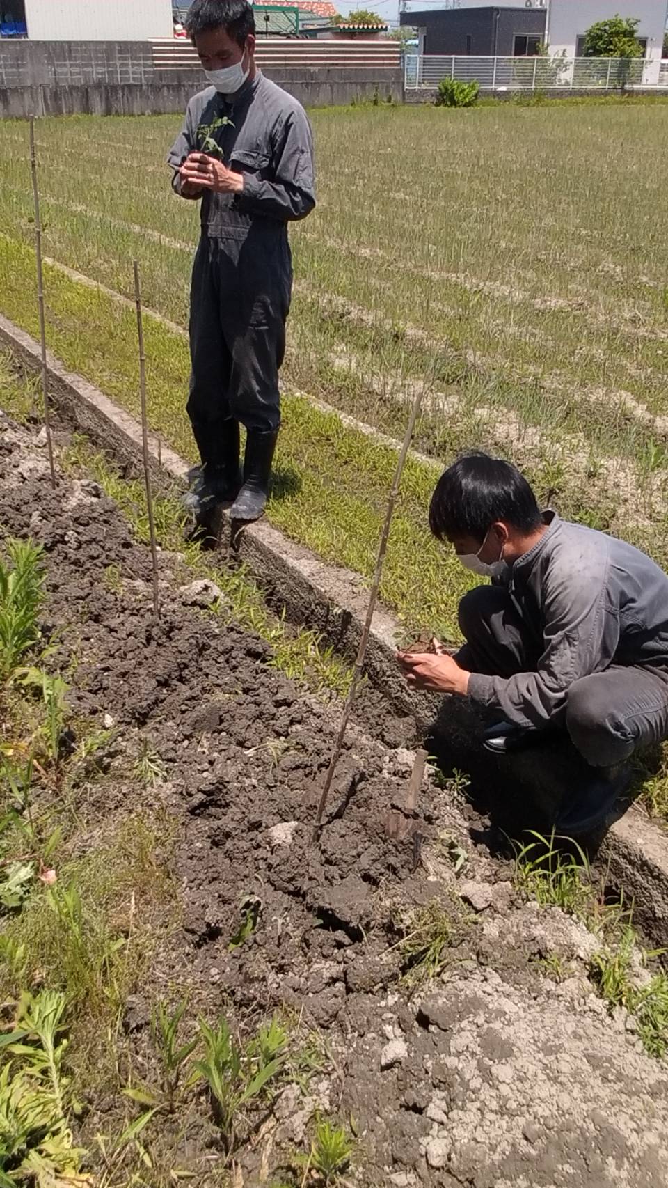 今日から6月です