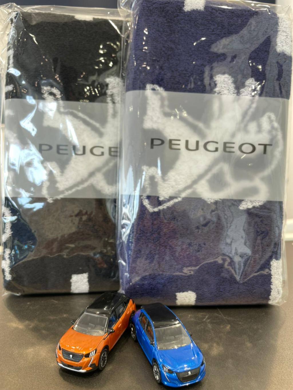 メンテナンスプレゼント実施中！