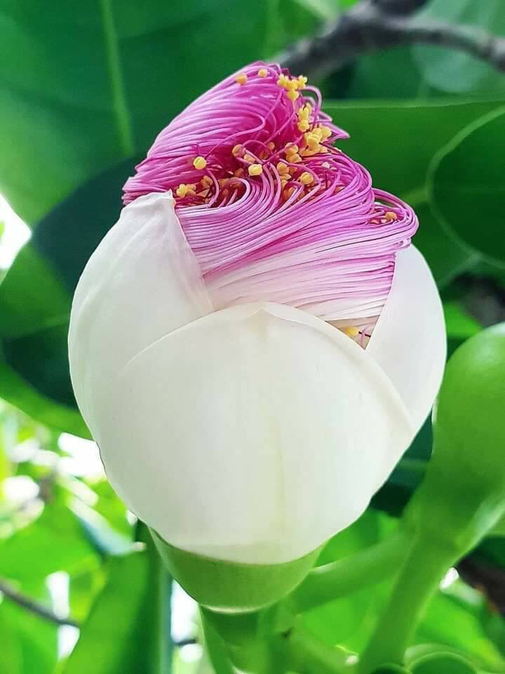 7月も後半に差し掛かりました