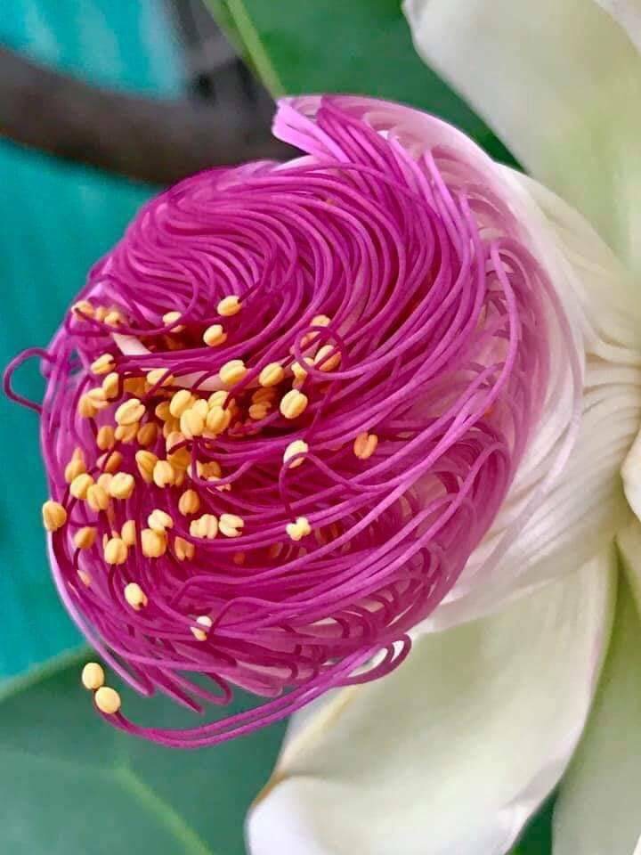 7月も後半に差し掛かりました