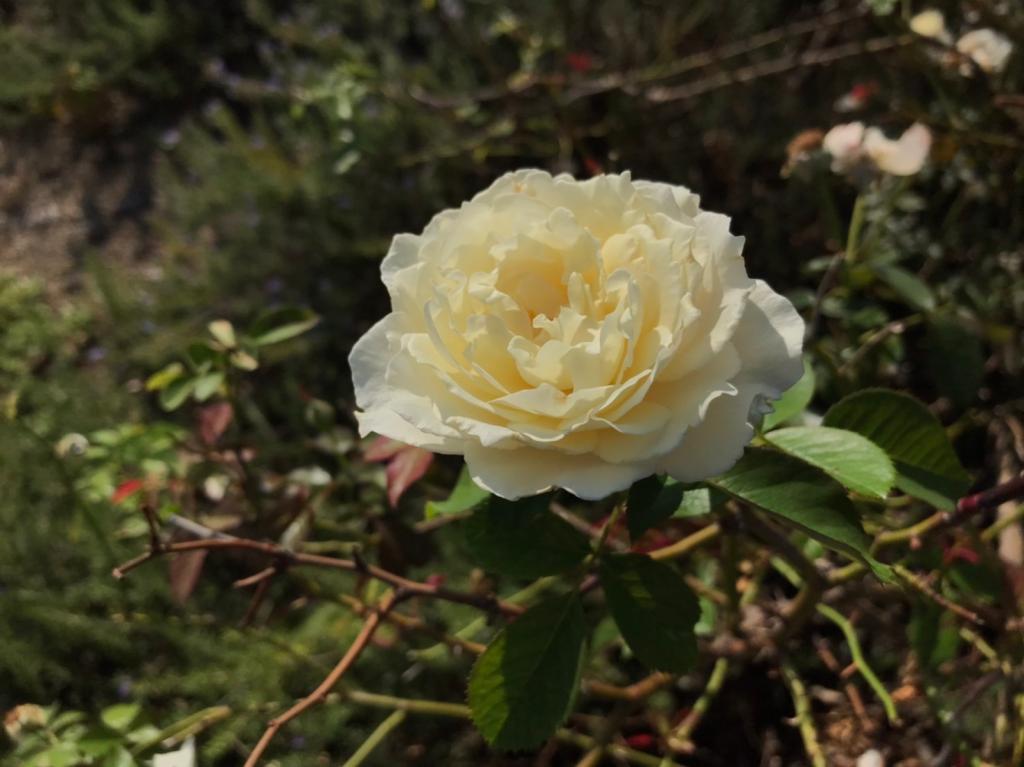 今日から10月です