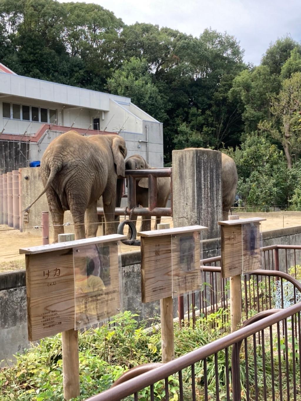動物園