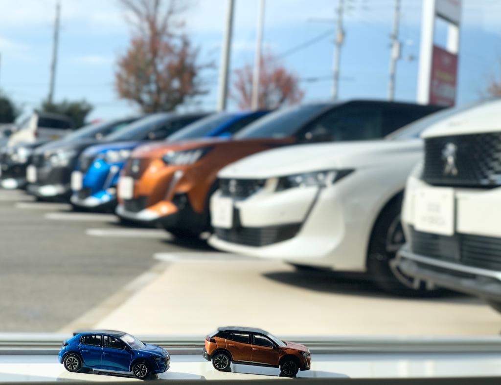 マイカーライオンはどれくらいの大きさですか？