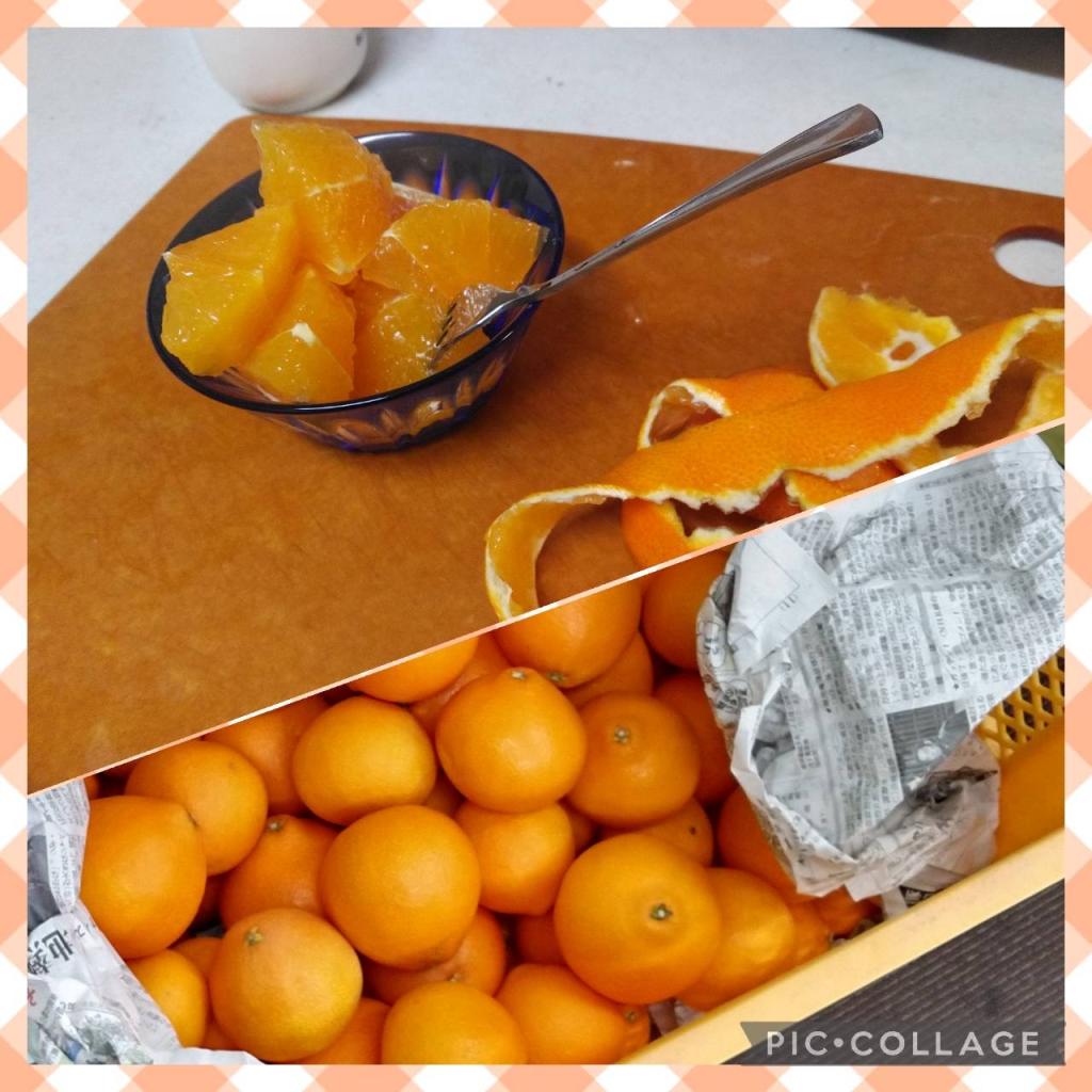 愛媛の優しいみかん