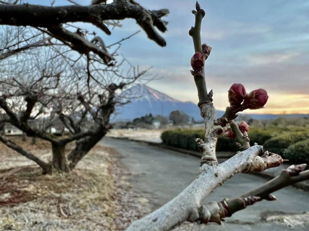 今日から2月です