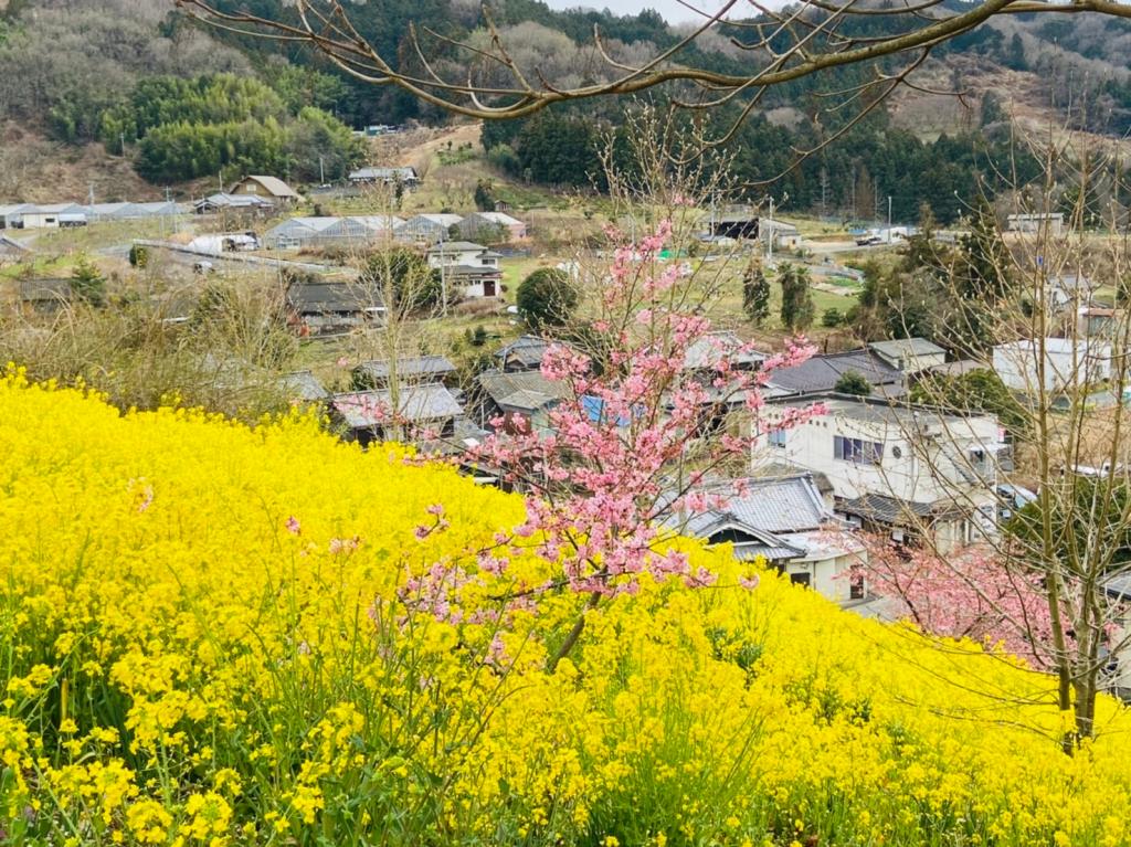 ３月も後半に差し掛かりました