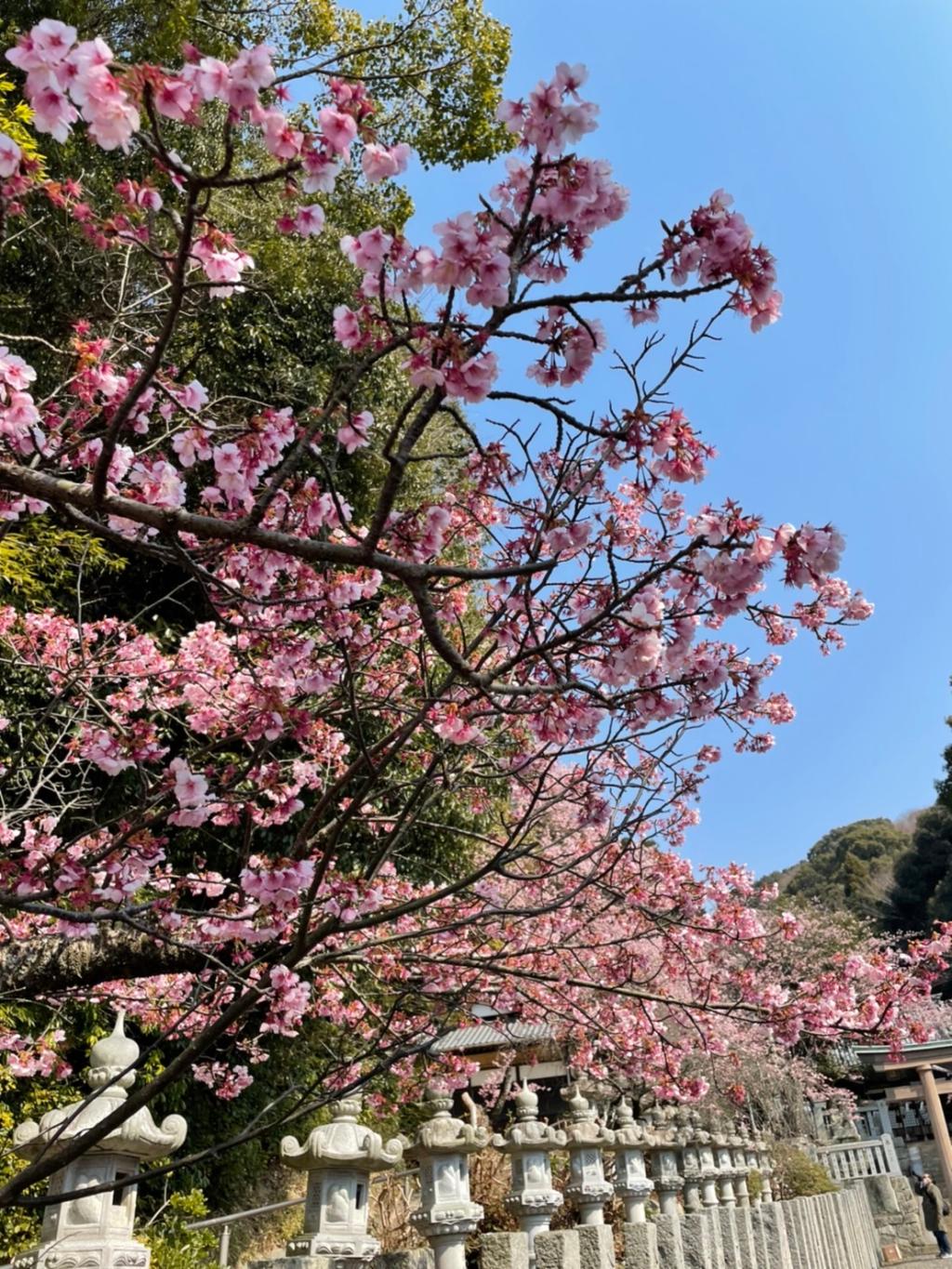 季節が変わり