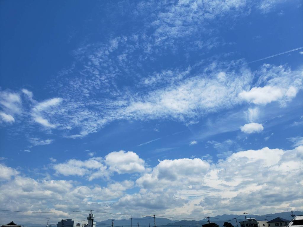 【6月終了】