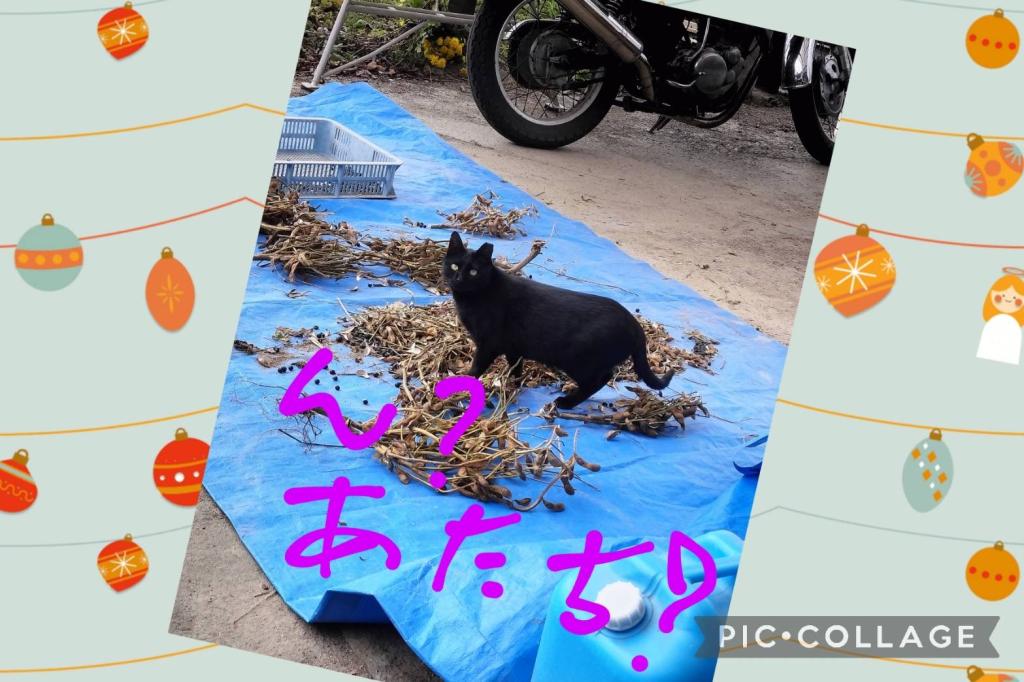 時流
