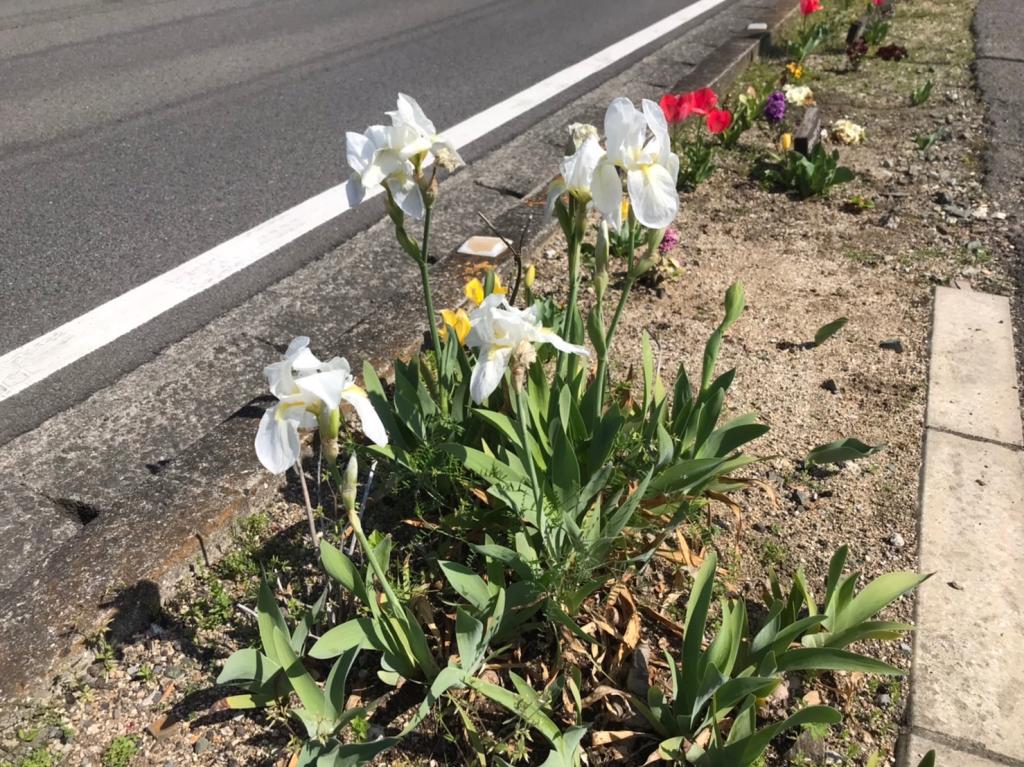 今日から４月です