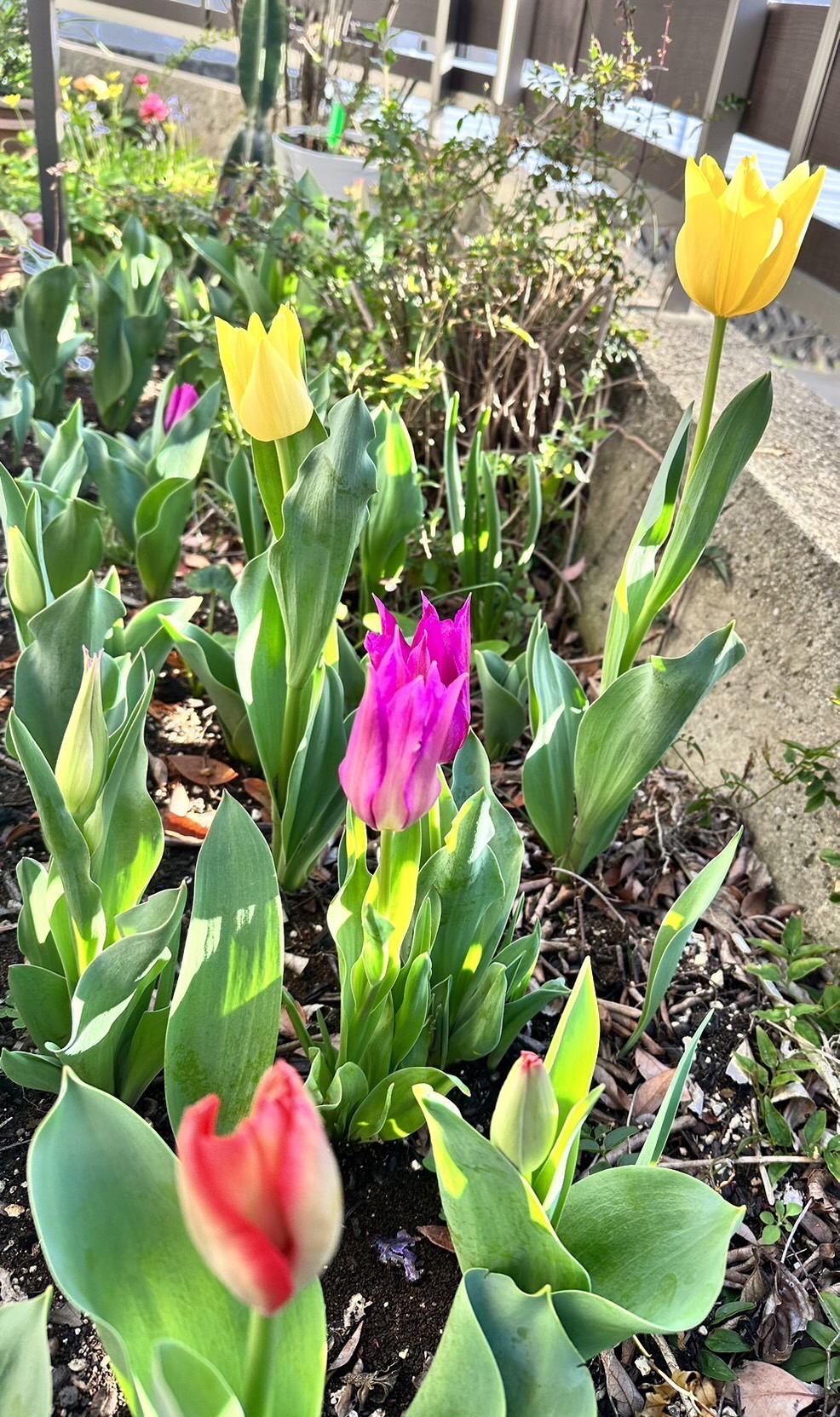 ４月も半月が経ちました