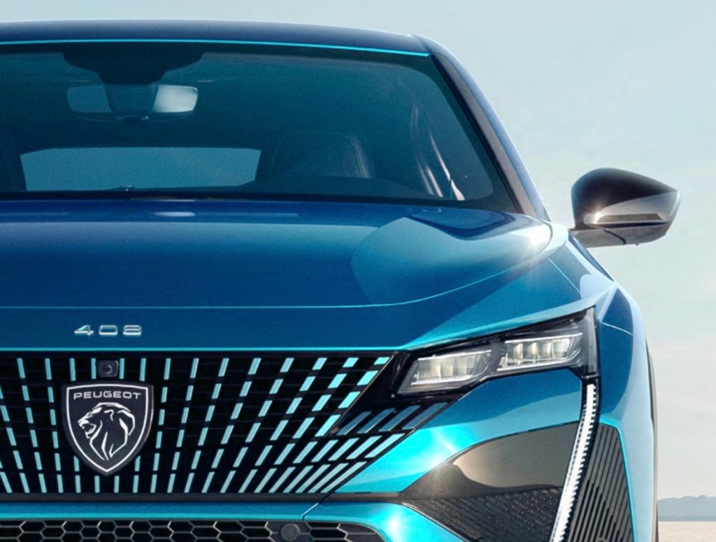 ひっかき傷が…