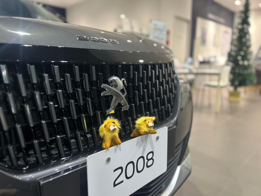 今年のハイライト