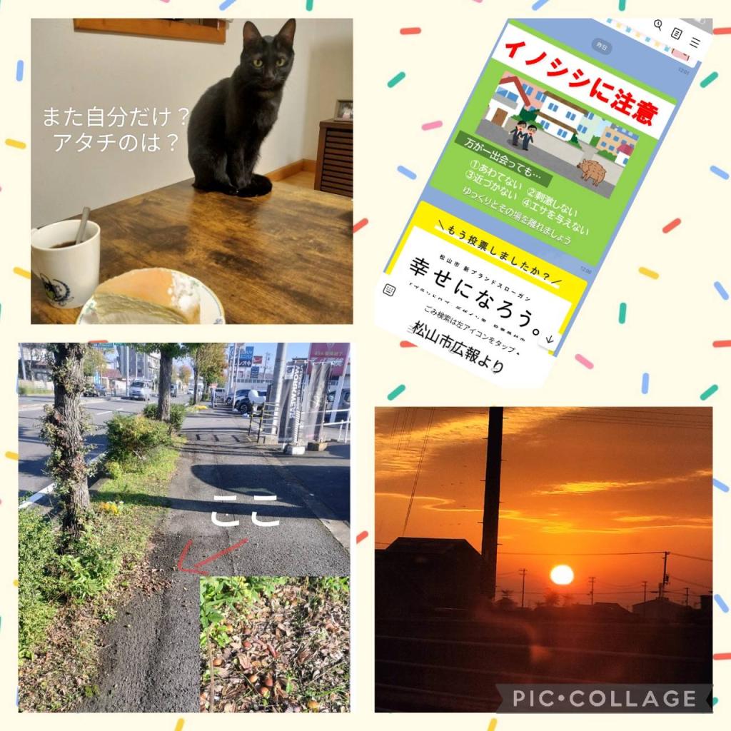 『なんしよるんよ！あんまり変な事せんといて！』 「鎮まれ！鎮まりたまえぇ！さぞかし名の有る谷の主とお見受けしたが、なぜその様に荒ぶるのか！」