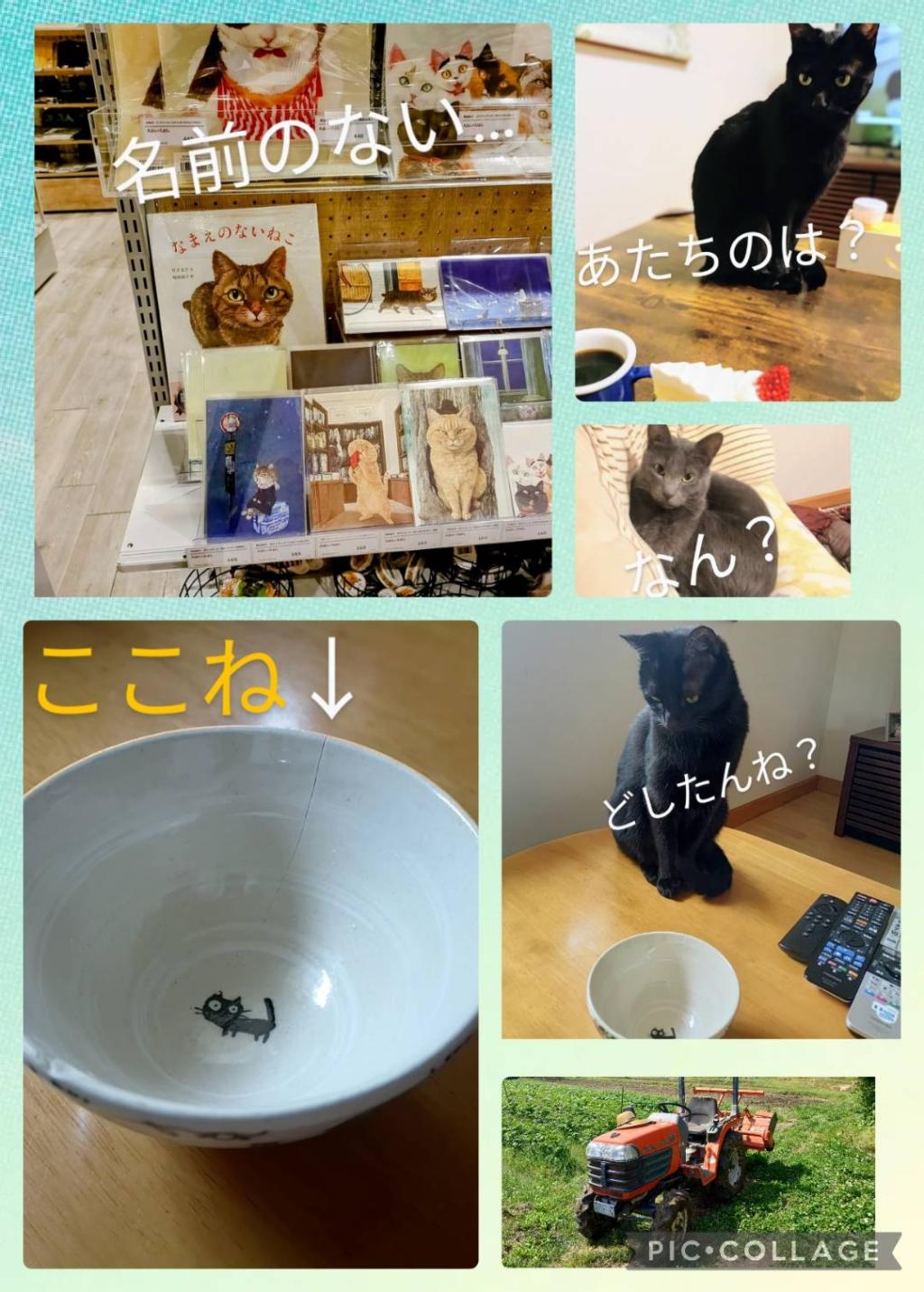 まだ名前はない(仮)