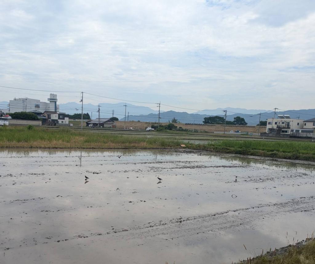 今年もこの時期に