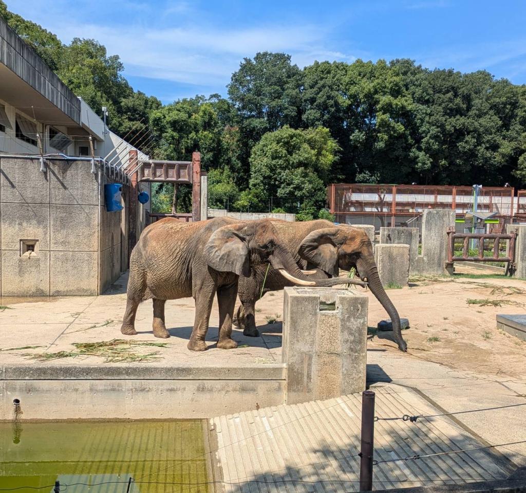 動物園🍎