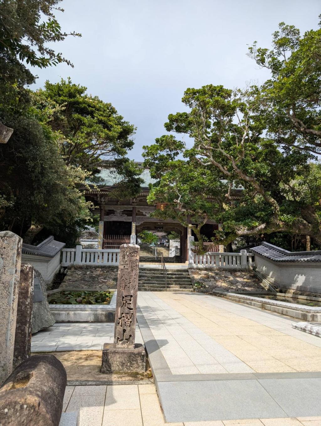 足摺岬まで🏞️