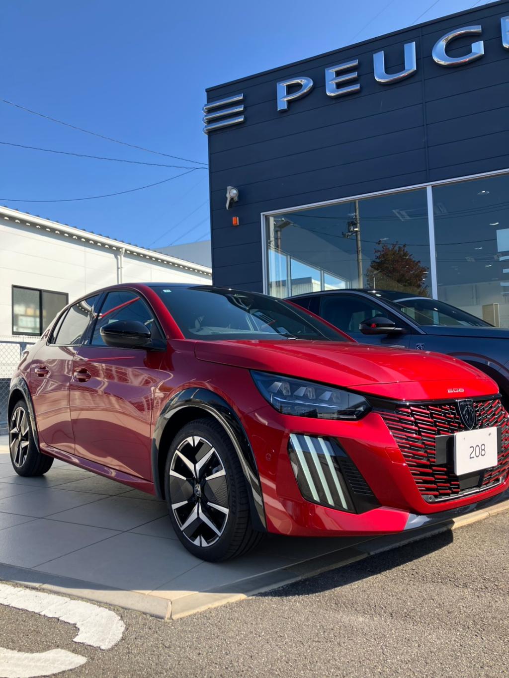 デビューフェアご案内🇫🇷✨