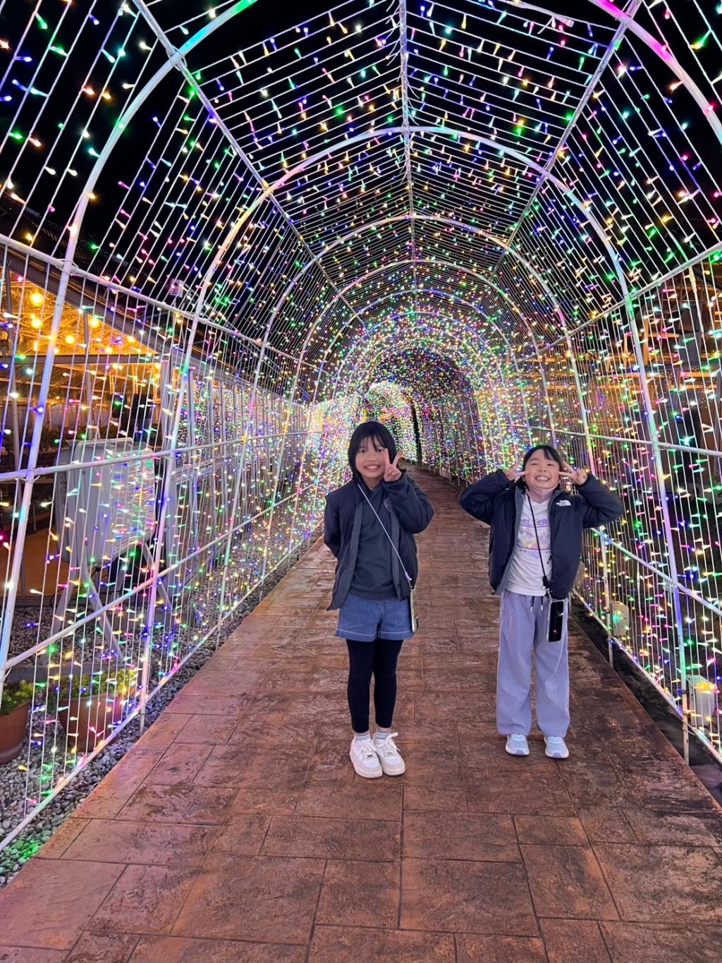 イルミネーション