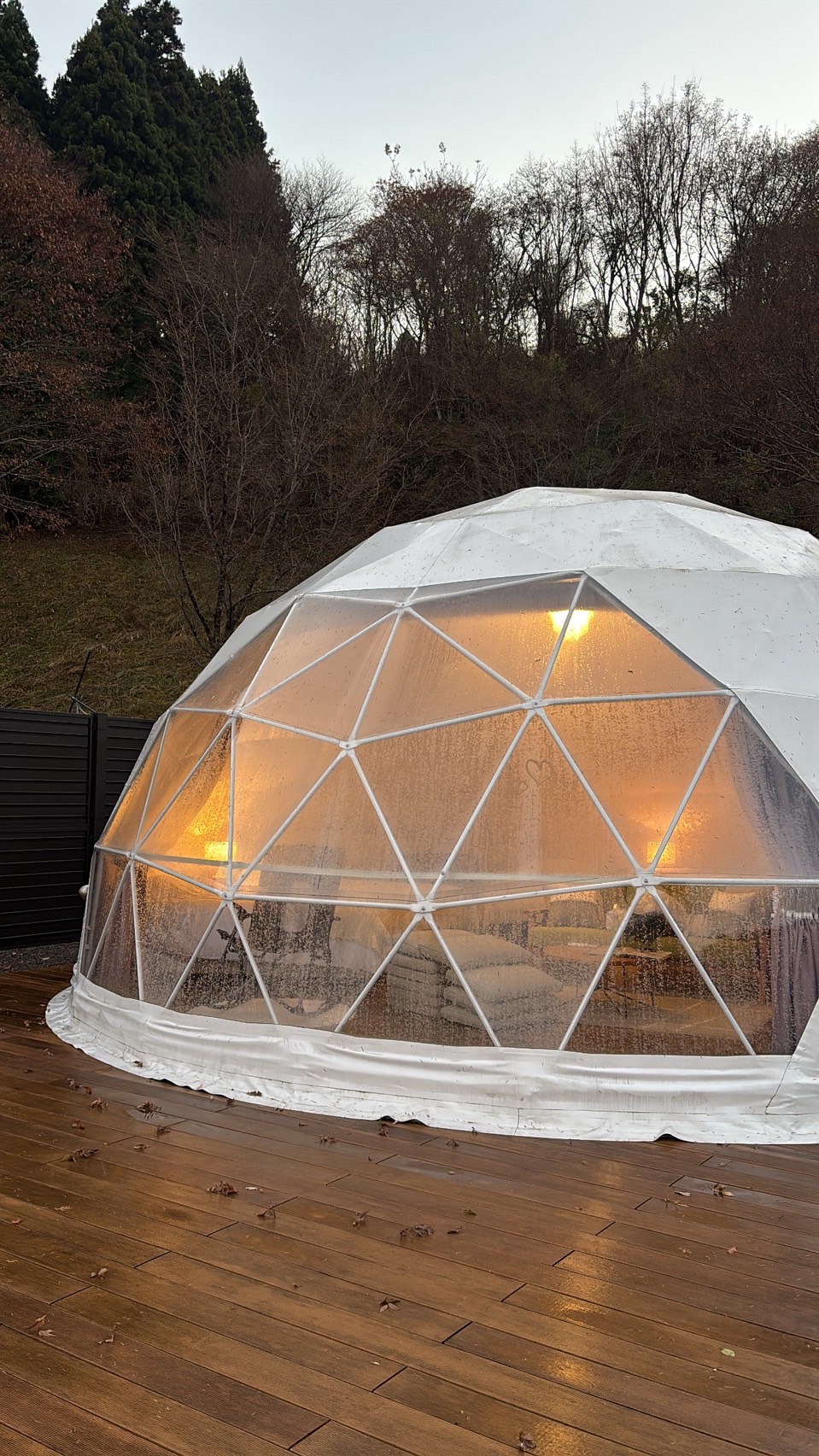 グランピング🌳