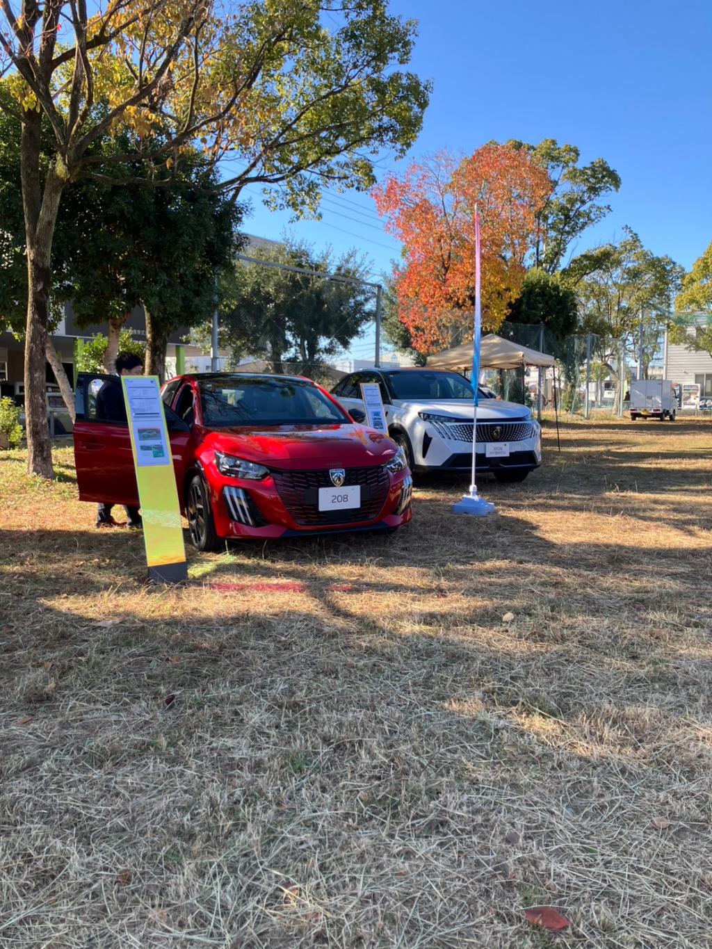 展示会初参加🎄